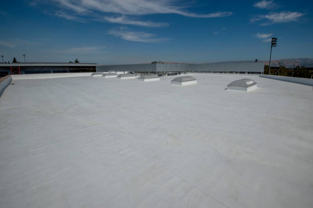 Best Chimney Flashing Repair  in Hawaiian Acres, HI
